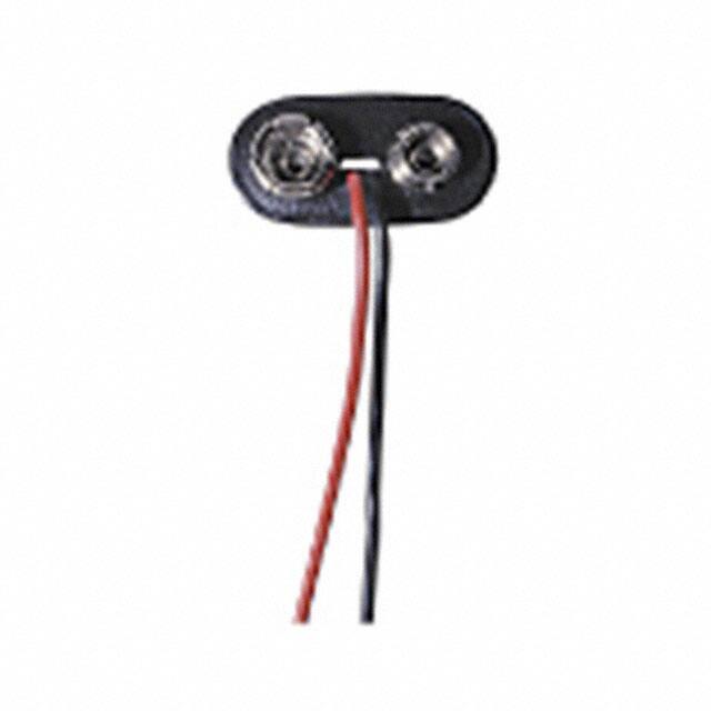 BS6TMPD (Memory Protection Devices)