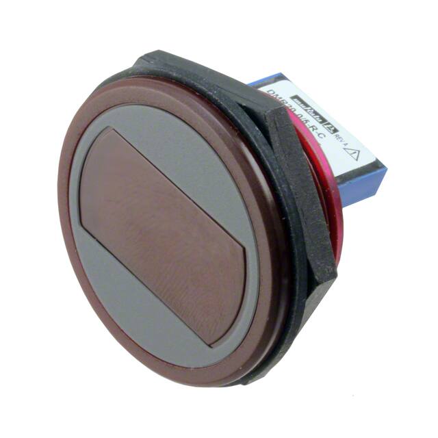 DMR20-0/5-R-CMurata Power Solutions Inc.