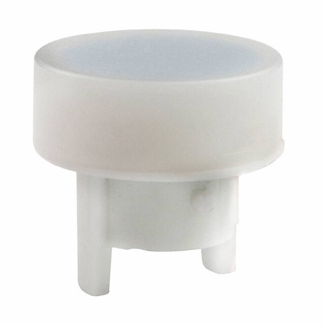 AT486BGNKK Switches