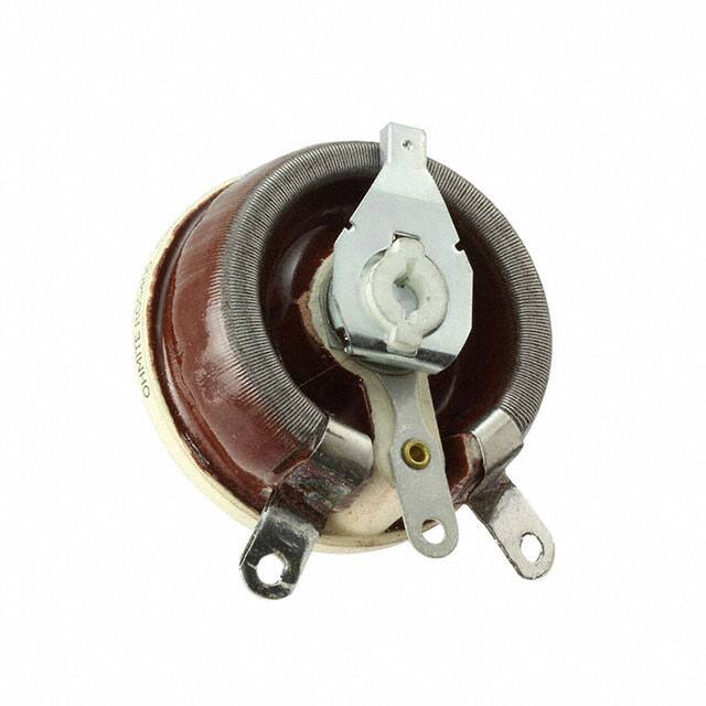 RGS400Ohmite