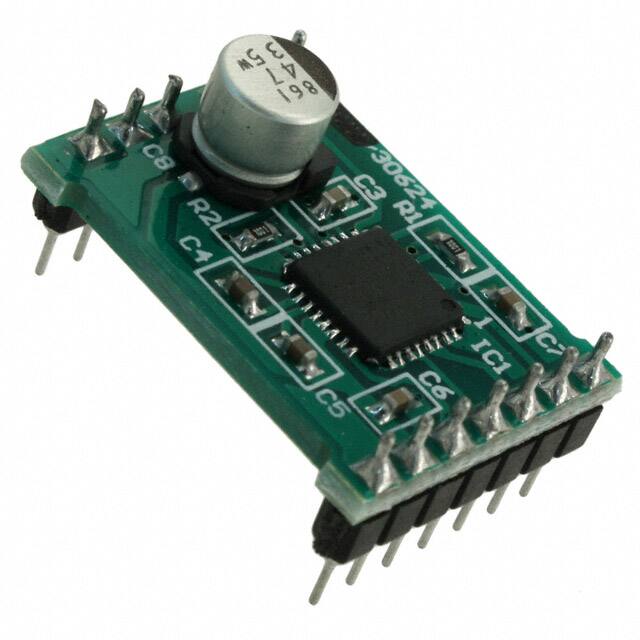 AM306245R1DBGEVBON Semiconductor