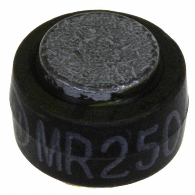 

MR2504