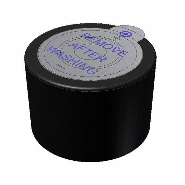 AI-2429-TWT-3P-RPUI Audio, Inc.