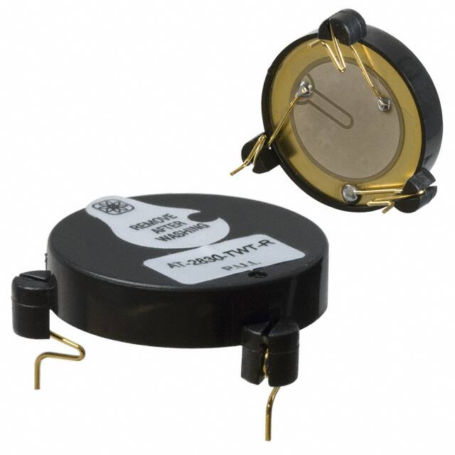 AT-2830-TWT-RPUI Audio, Inc.