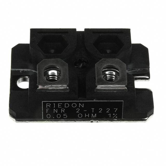 FNR2E-0R015F1Riedon