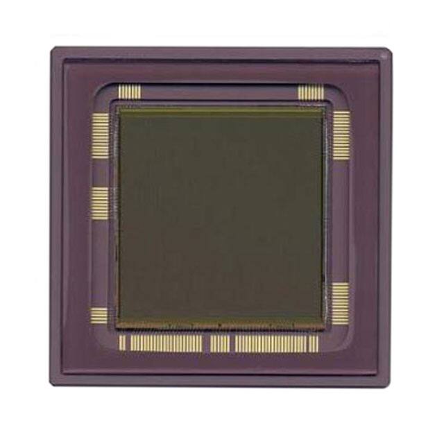 NOIL1SM4000A-GDCRochester Electronics, LLC