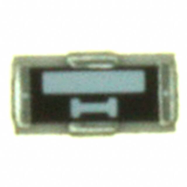 TBF-1608-245-R1NSusumu