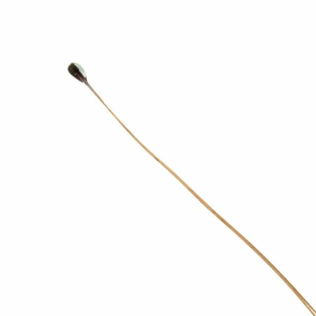 B57540G0104F000TDK Electronics Inc.
