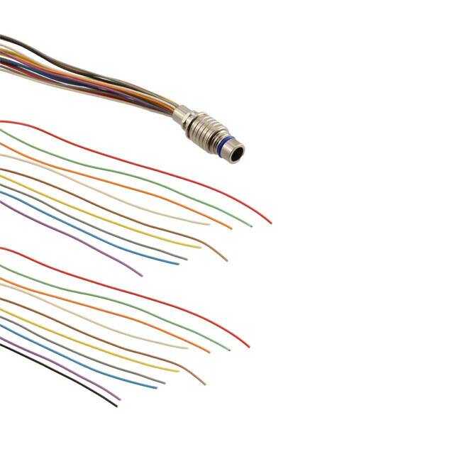 QCM019PC2DC024BTE Connectivity Aerospace, Defense and Marine