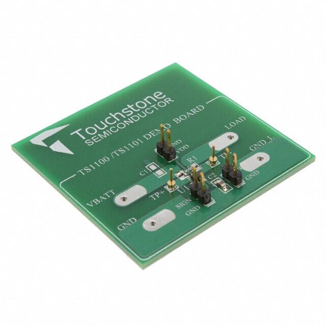 TS1101-100DBTouchstone Semiconductor