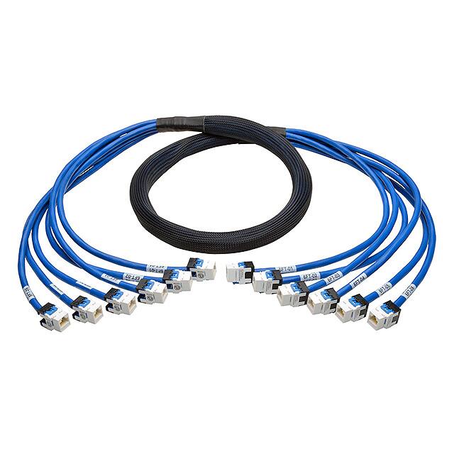 N261-006-6FF-BLTripp Lite