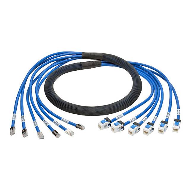 N261-006-6MF-BLTripp Lite