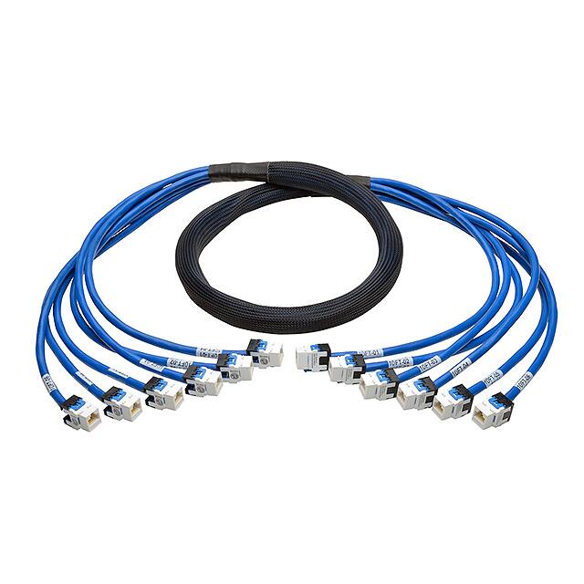 N261-010-6FF-BLTripp Lite