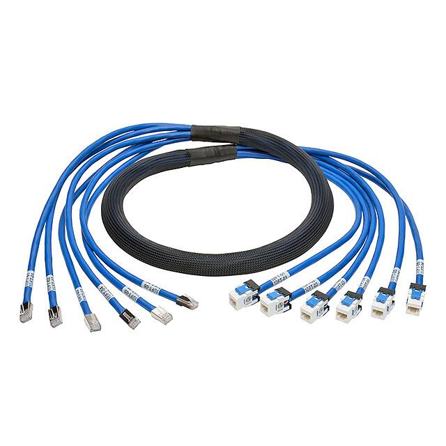 N261-010-6MF-BLTripp Lite