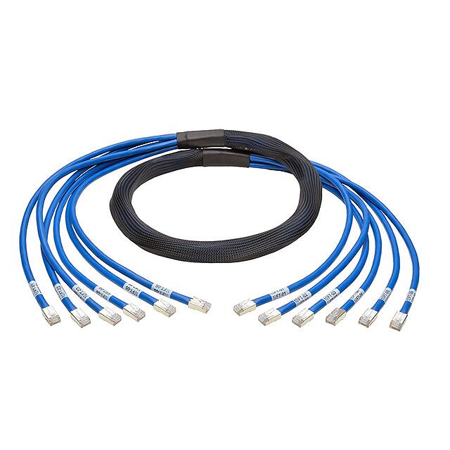 N261-010-6MM-BLTripp Lite