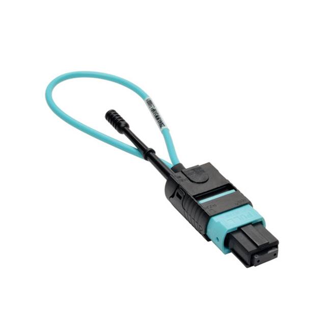 N844-LOOP-12FTripp Lite