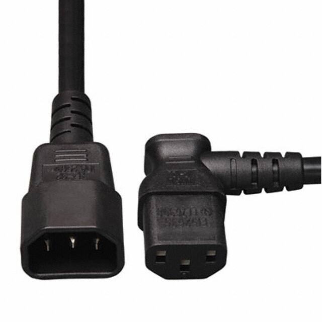 Tripp Lite P004-002-13RA