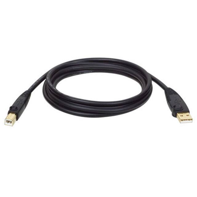 U002-010-RTripp Lite