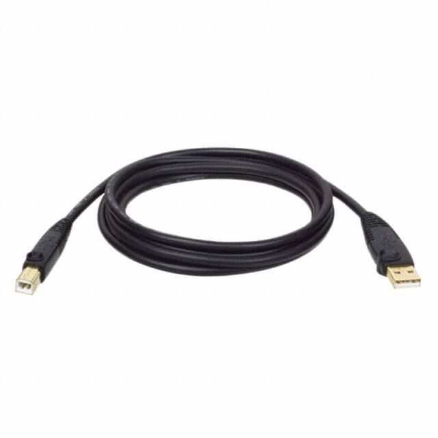 U022-010Tripp Lite