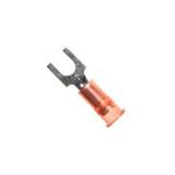 BS-31-6-NB3M