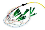SCAPC-8F-900-FANOUT3M