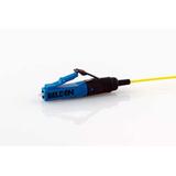 AX105203-B25Belden Inc.