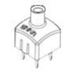 ORFLP2-YLWBivar Inc.