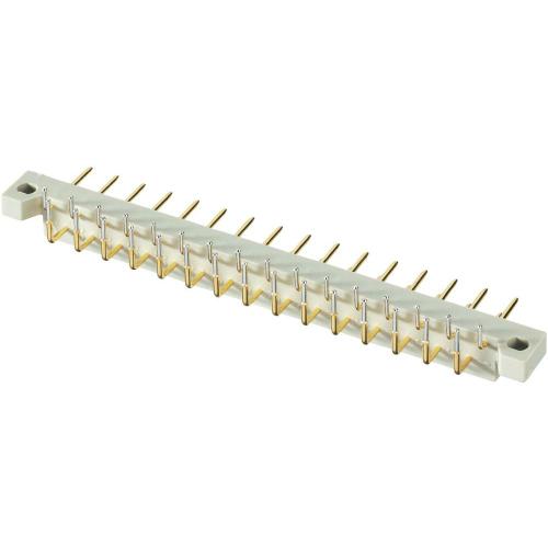 101A10079XConec