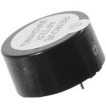 TE250705-1DB Unlimited