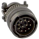 CA3106E24-12PWBF80ITT Cannon, LLC