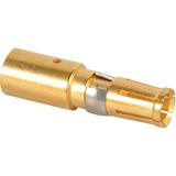 DM1303414ITT Cannon, LLC