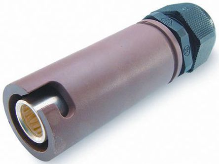 SNLF-S-C25-25S-BNITT Cannon, LLC