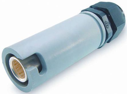 SNLF-S-C25-25S-GYITT Cannon, LLC