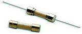 Littelfuse Inc. 20101000001P