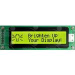 LK202-25-USBMatrix Orbital