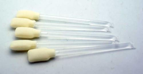 8241S-5MG Chemicals