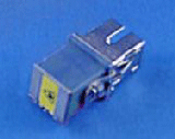 1061541000Molex