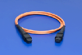 1062830009Molex