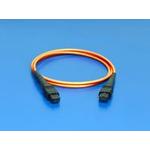 1062830012Molex