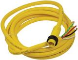 1300061001Molex