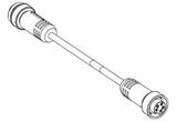 1300101843Molex