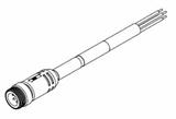 1300630012Molex