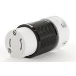 1301440019Molex