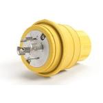 1301470031Molex