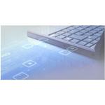 RAPPID-560XBSWNXP USA Inc.