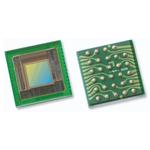 OV06211-A29AOmniVision Technologies Inc