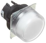 M22-FWOmron Automation and Safety