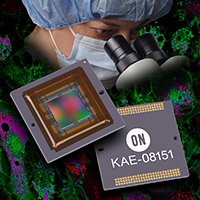 KAE-02150-FBB-JP-FAON Semiconductor