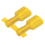 DNF10250FIBC-2KPanduit Corp