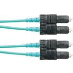 FX23PSNSNSNM009Panduit Corp